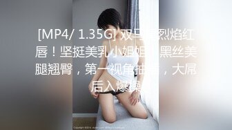 [MP4/ 1.35G] 双马尾烈焰红唇！坚挺美乳小姐姐！黑丝美腿翘臀，第一视角抽插，大屌后入爆操