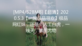 [MP4/528MB]【超清】2020.5.3【一屌极品寻欢】极品网红妹，还是个人工白虎，一线天，暴插尤物