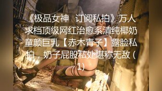 《极品女神✨订阅私拍》万人求档顶级网红治愈系清纯椰奶童颜巨乳【赤木青子】露脸私拍，奶子屁股私处堪称无敌 (1)