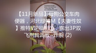 【11月新品】母狗公交车肉便器，河北绿帽M【夫妻性奴】推特VIP福利①，露出3P双飞刑具调教~炸裂 (2)