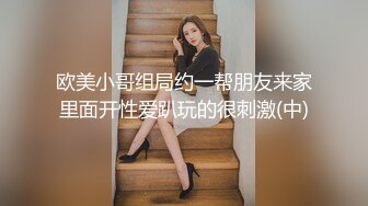 欧美小哥组局约一帮朋友来家里面开性爱趴玩的很刺激(中)