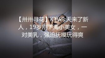 【卅卅寻花】KTV今天来了新人，19岁刚下海小美女，一对美乳，强迫抚摸玩得爽