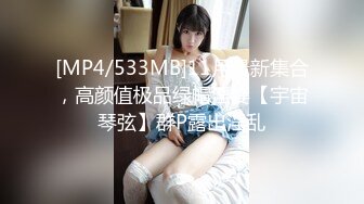 [MP4/533MB]11月最新集合，高颜值极品绿帽淫妻【宇宙琴弦】群P露出淫乱