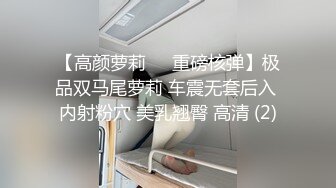 【高颜萝莉❤️重磅核弹】极品双马尾萝莉 车震无套后入 内射粉穴 美乳翘臀 高清 (2)