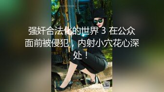 强奸合法化的世界 3 在公众面前被侵犯，内射小穴花心深处！