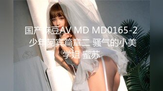 国产麻豆AV MD MD0165-2 少年阿宾篇章二 骚气的小美学姐 蜜苏