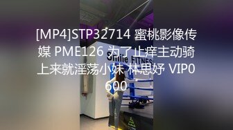 [MP4]STP32714 蜜桃影像传媒 PME126 为了止痒主动骑上来就淫荡小妹 林思妤 VIP0600