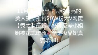 11月震撼流出，只约漂亮的美人妻，推特20W粉大V网黄【秀才】最新，各种反差小姐姐被花式爆肏，全是极品妞真羡慕 (3)