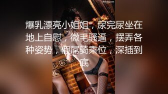 爆乳漂亮小姐姐，尿完尿坐在地上自慰，微毛骚逼，摆弄各种姿势，假屌骑乘位，深插到底