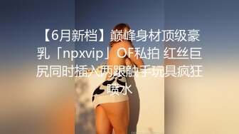 【6月新档】巅峰身材顶级豪乳「npxvip」OF私拍 红丝巨尻同时插入两跟触手玩具疯狂喷水