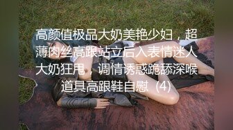 高颜值极品大奶美艳少妇，超薄肉丝高跟站立后入表情迷人大奶狂甩，调情诱惑跪舔深喉道具高跟鞋自慰  (4)